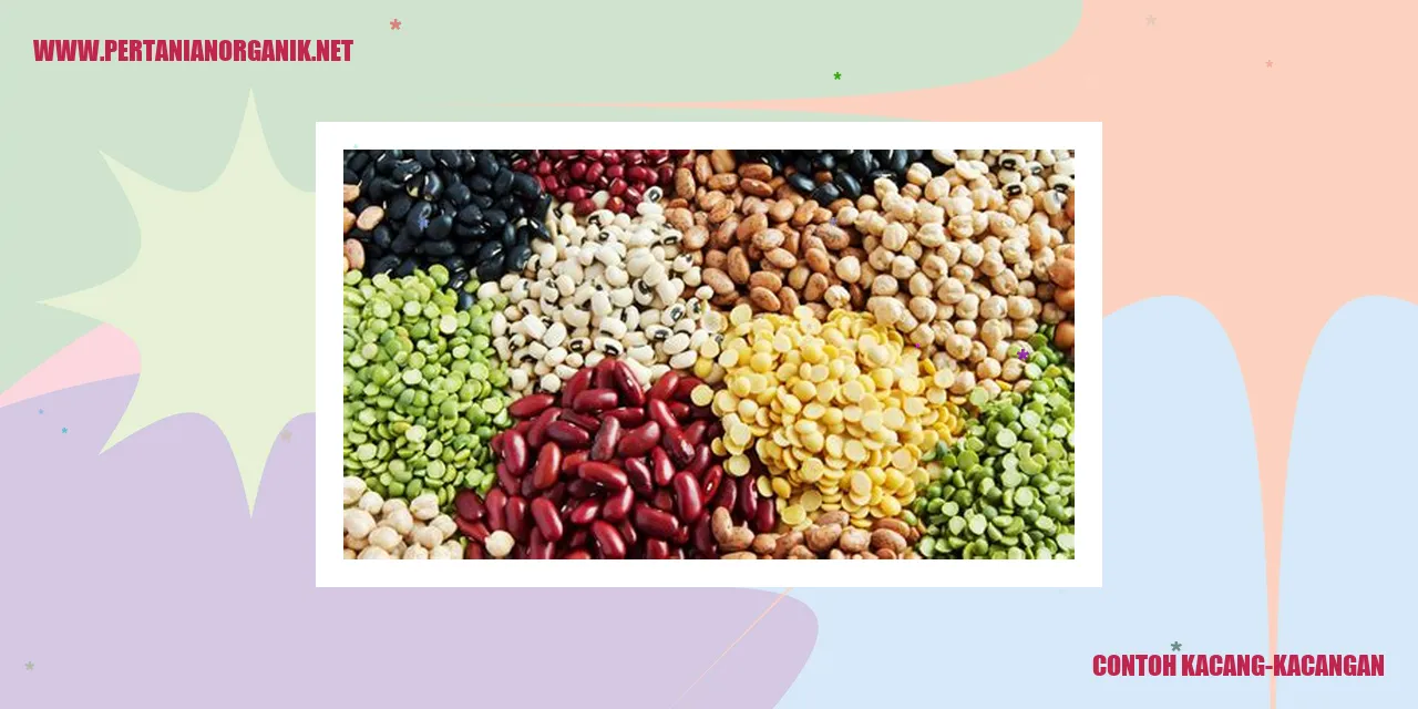 Contoh Kacang-kacangan