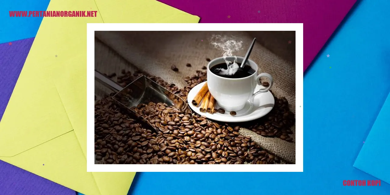 Contoh Kopi