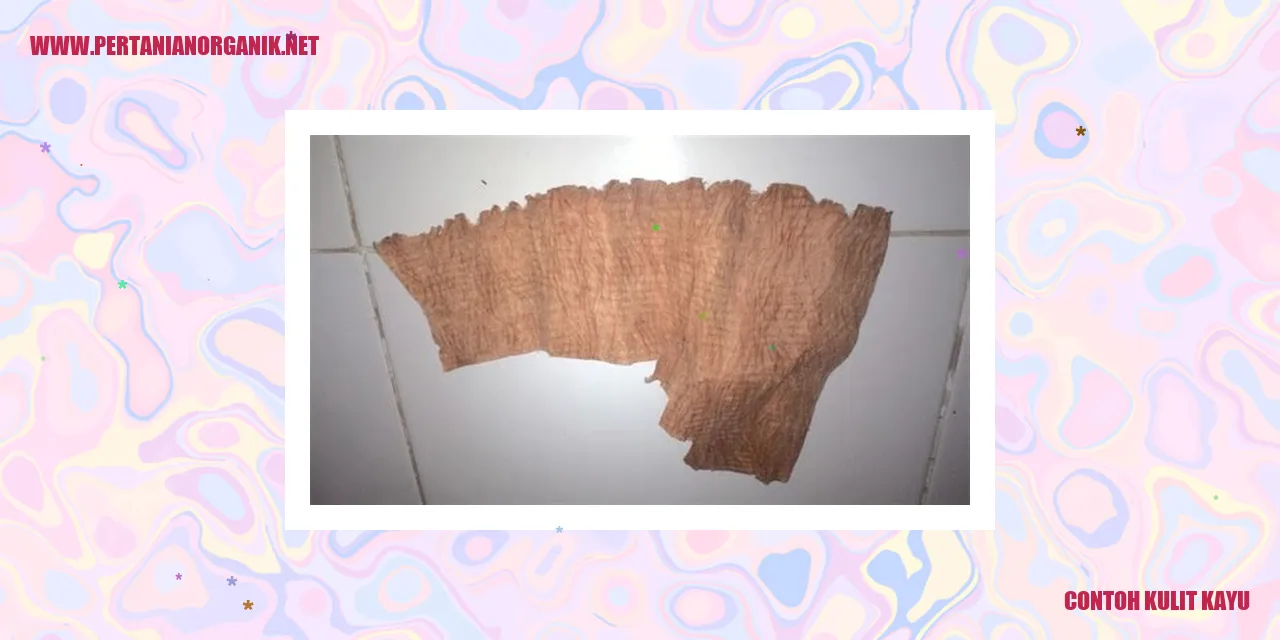 Contoh Kulit Kayu