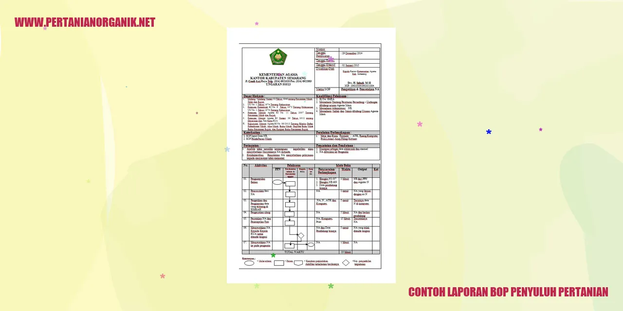 contoh laporan bop penyuluh pertanian