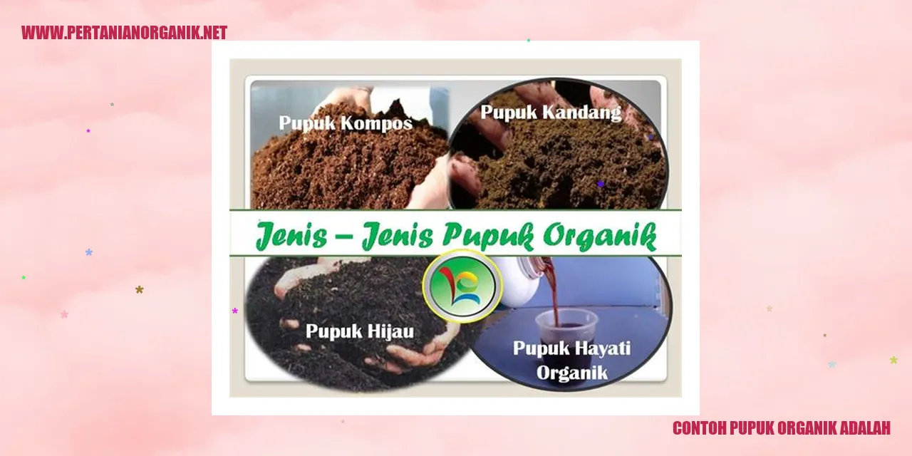 Contoh Pupuk Organik Adalah