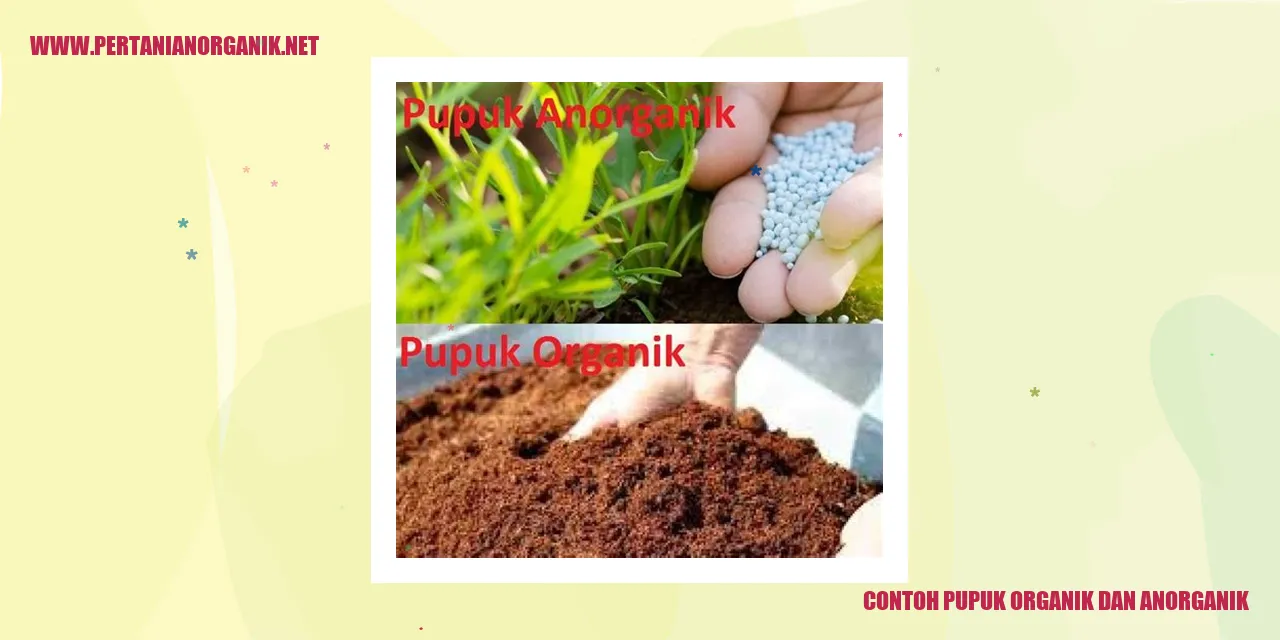 contoh pupuk organik dan anorganik