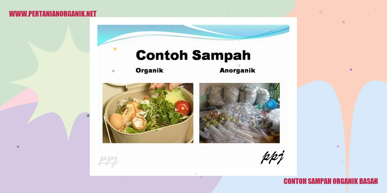 contoh sampah organik basah