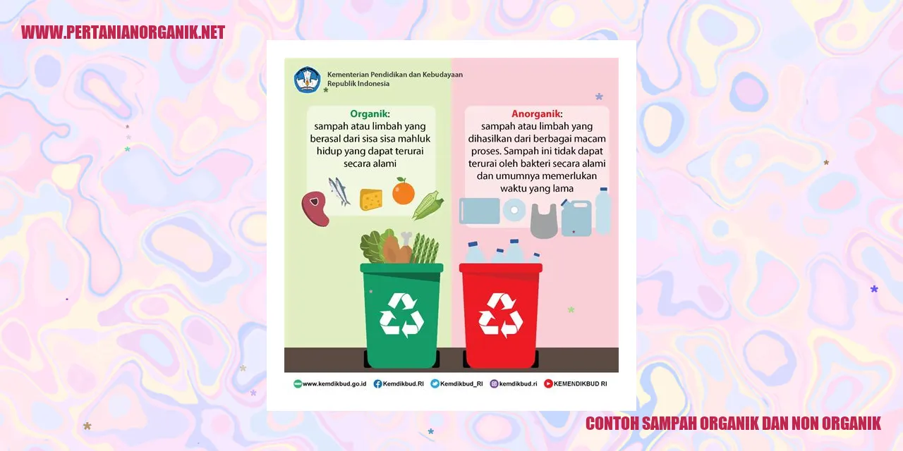 Contoh sampah organik dan non organik