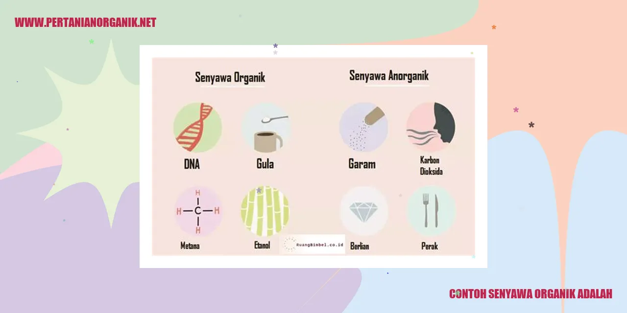 contoh senyawa organik adalah