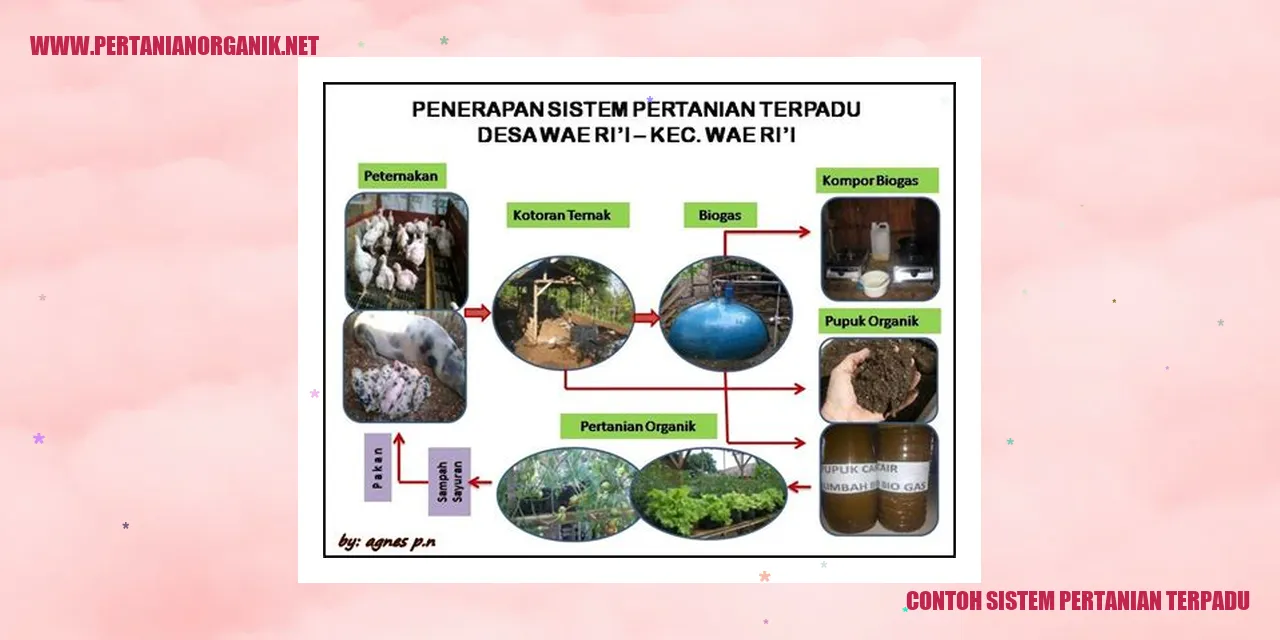 Contoh Sistem Pertanian Terpadu