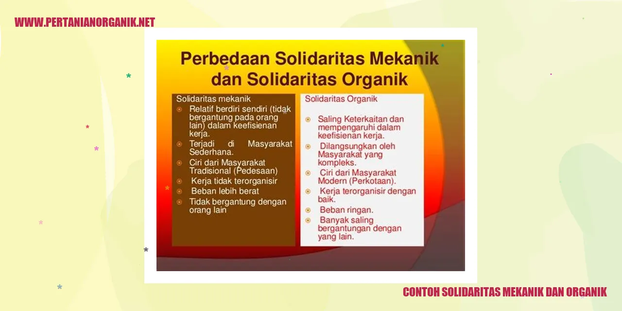 Contoh Solidaritas Mekanik dan Organik