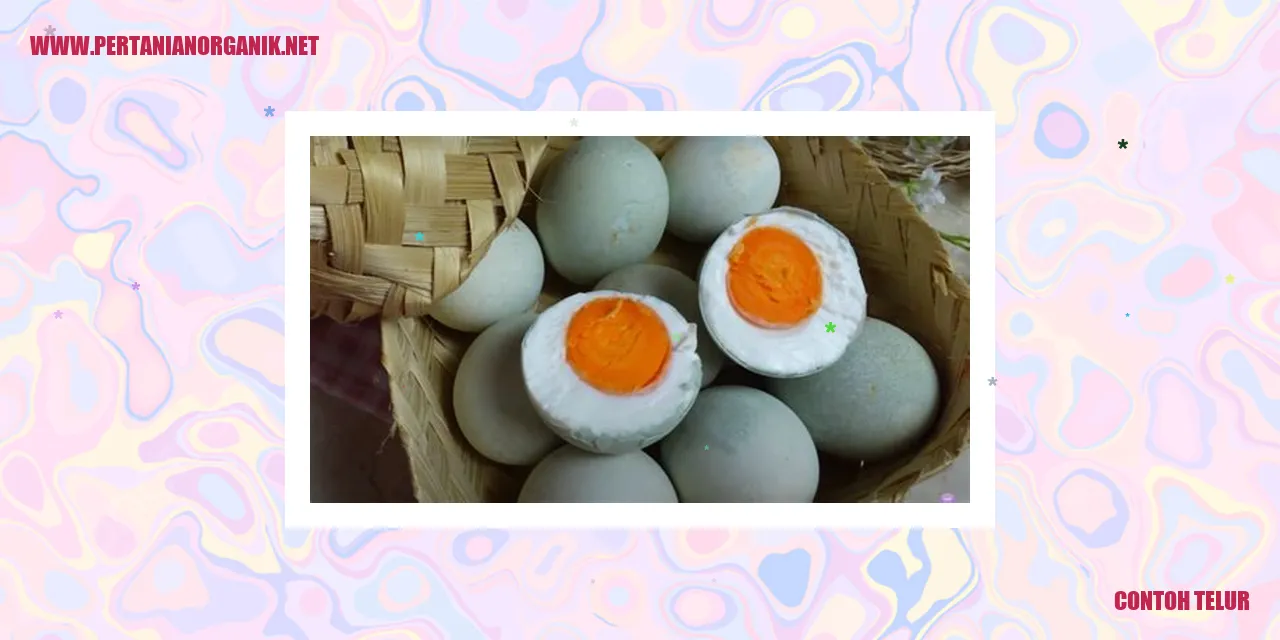 Contoh Telur