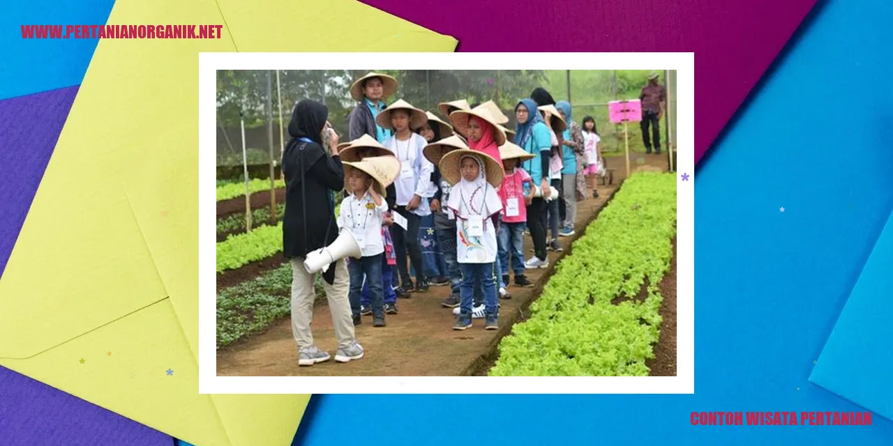 Kebun Teh Lawang Sewu