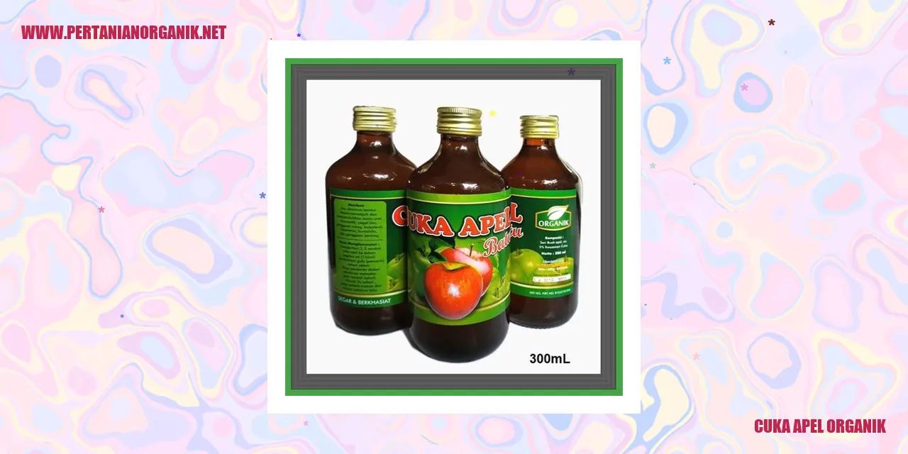Gambar Cuka Apel Organik