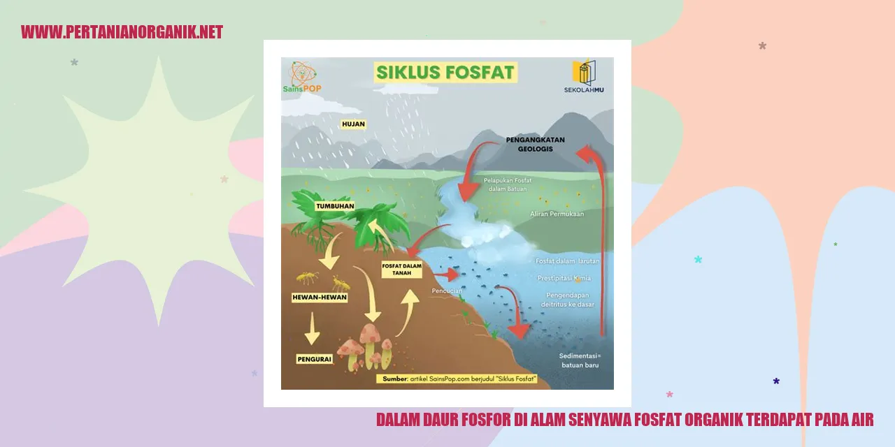 senyawa fosfat organik dalam air