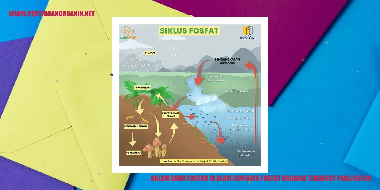 senyawa fosfat organik dalam hutan dan ekosistem terumbu karang