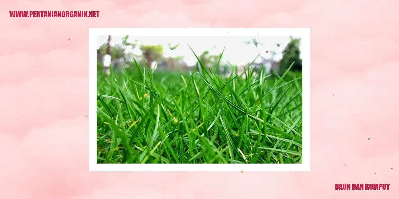 Daun dan rumput