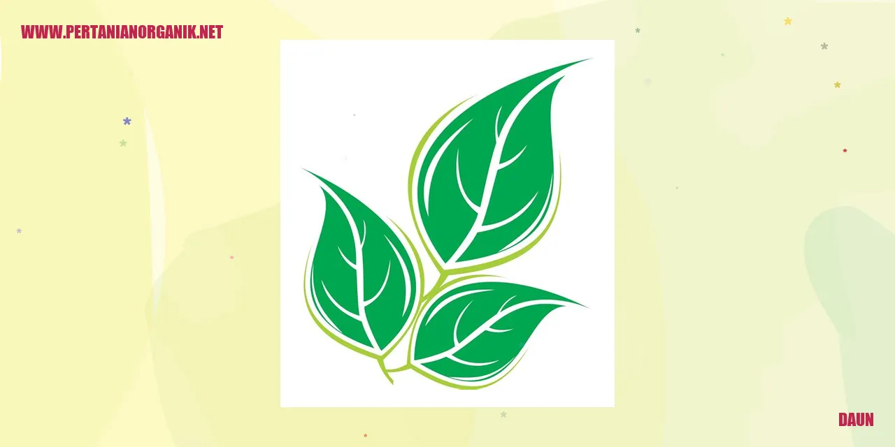 Daun