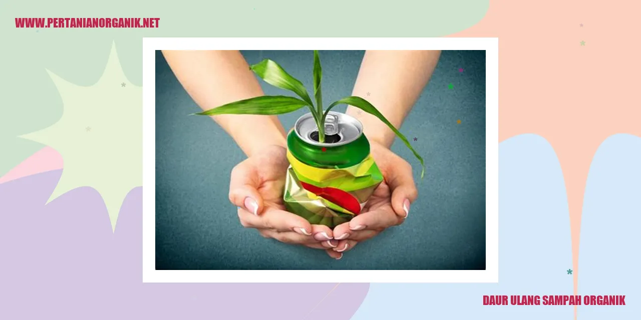 Daur Ulang Sampah Organik