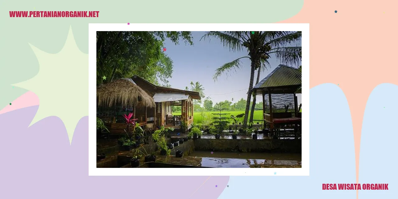 Desa Wisata Organik