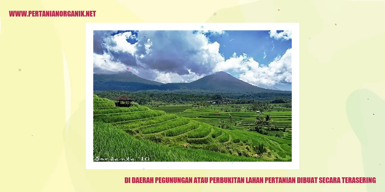 Terasering Pertanian di Daerah Pegunungan atau Perbukitan