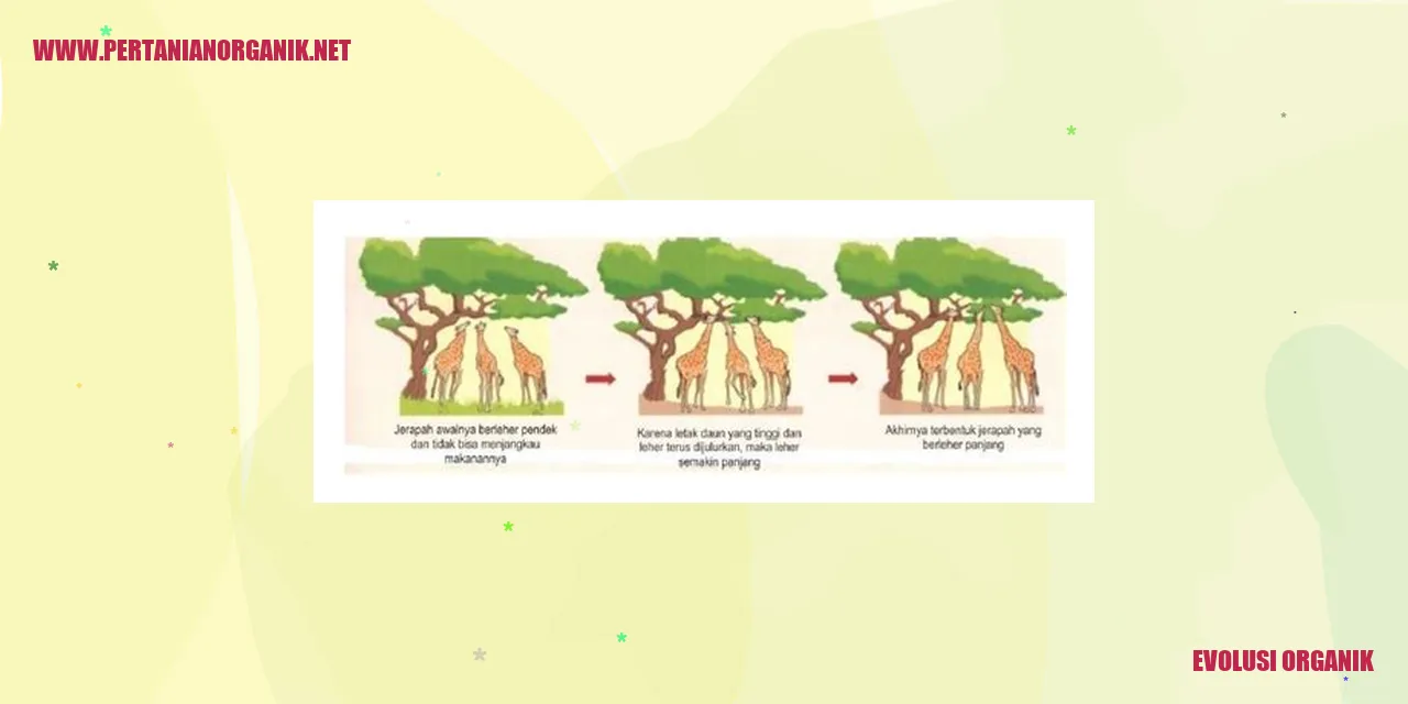 Evolusi Organik