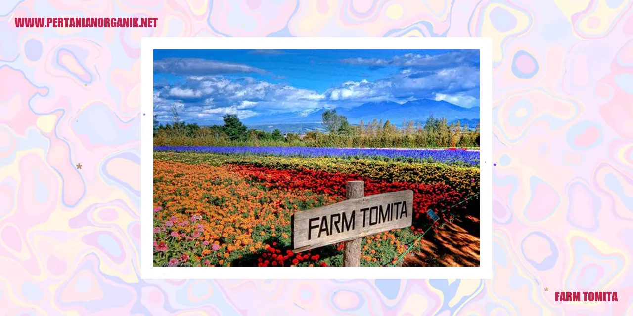 Farm Tomita