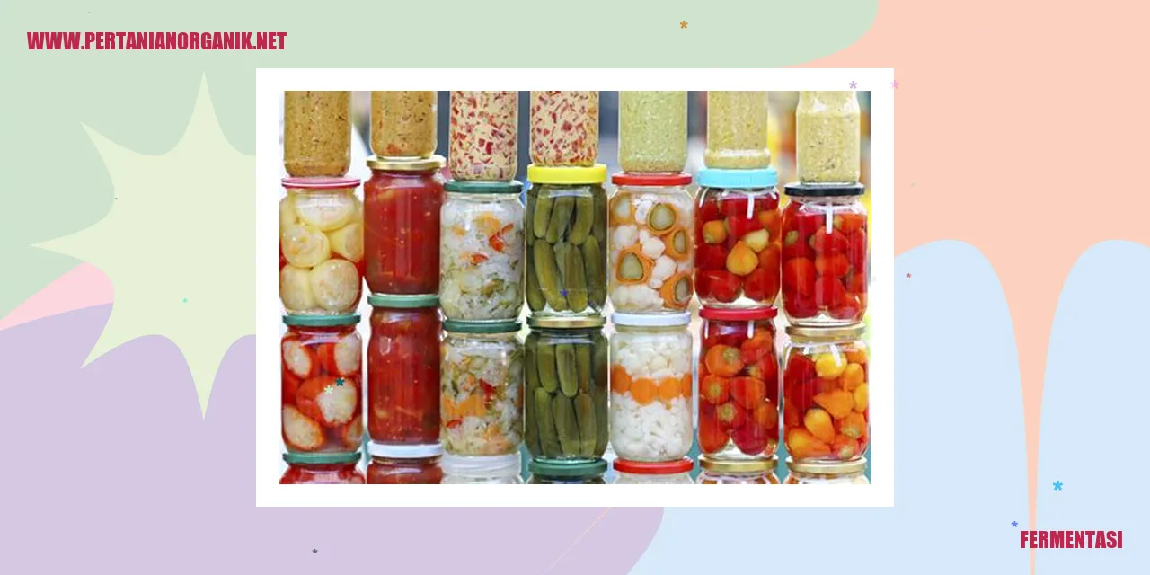 fermentasi