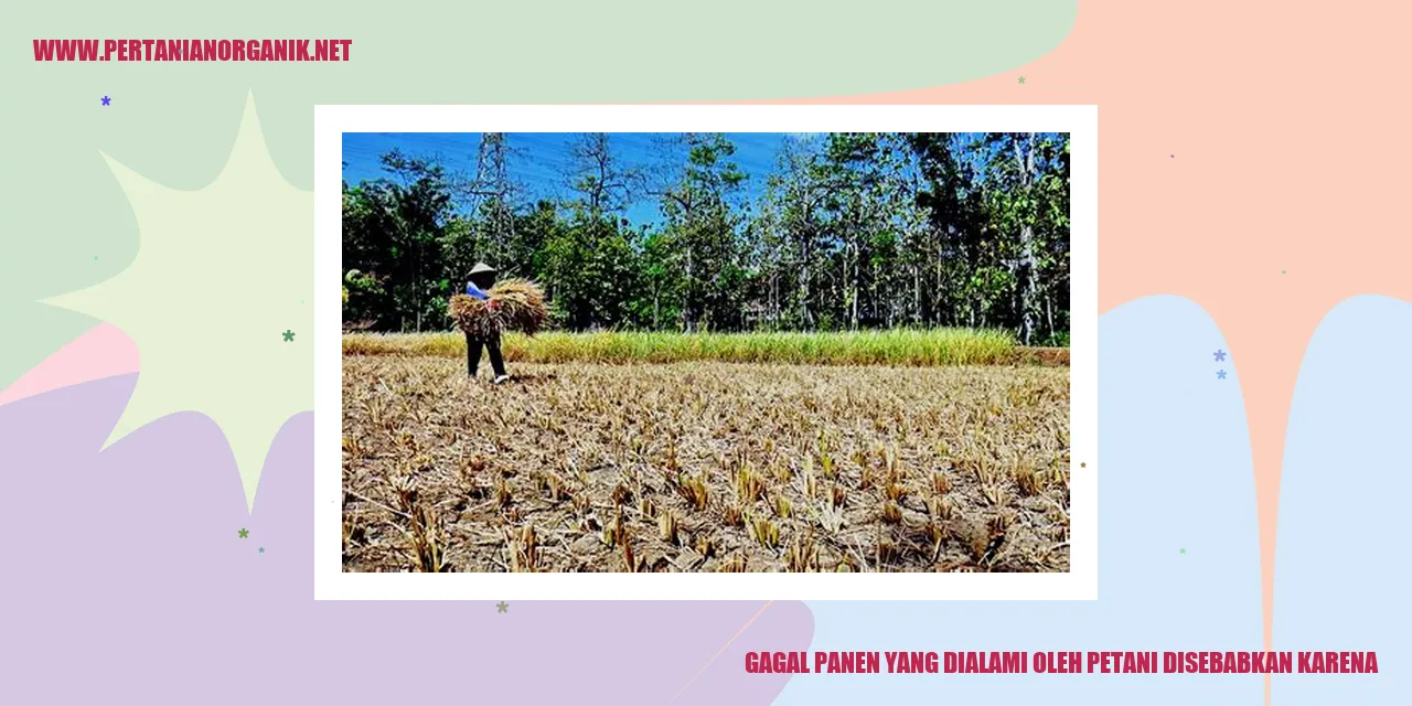 gagal panen