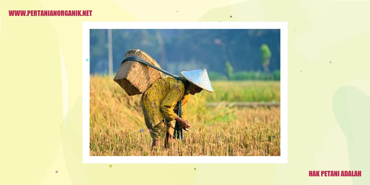 Hak Petani atas Tanah dan Sumber Daya Alam