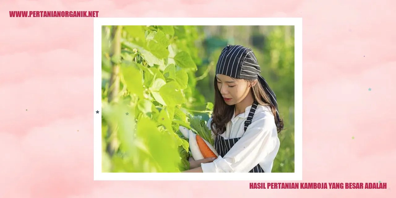 Hasil Pertanian Kamboja yang Besar Adalah