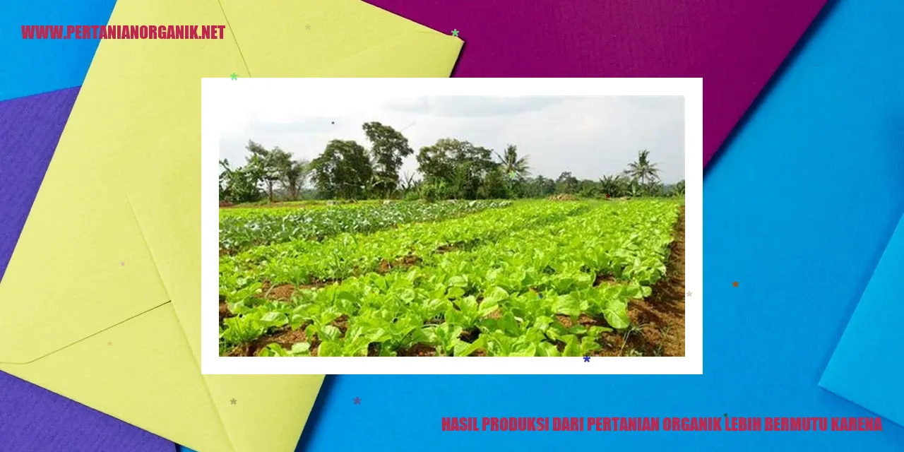 Hasil Produksi Pertanian Organik Lebih Bermutu