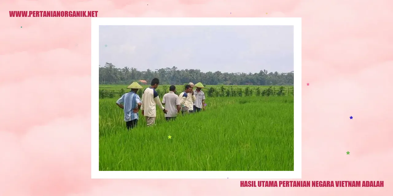 Gambar Pertanian Vietnam