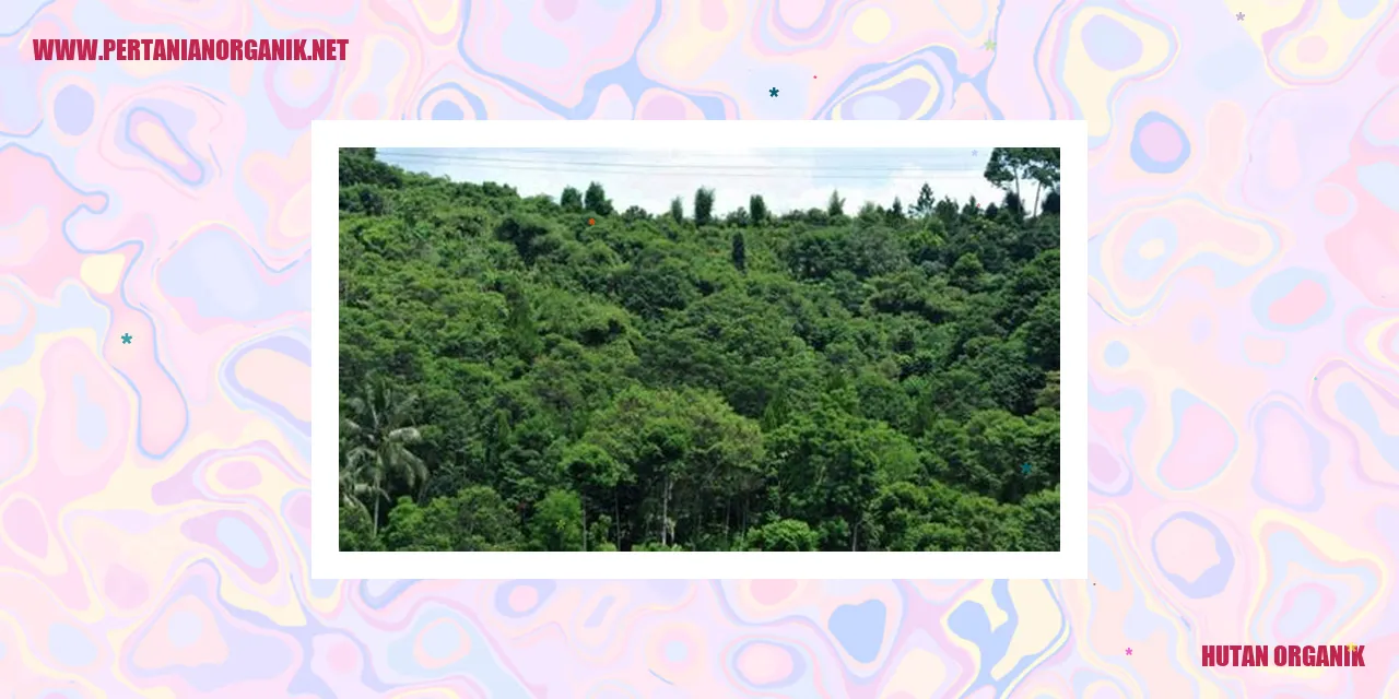 Hutan Organik