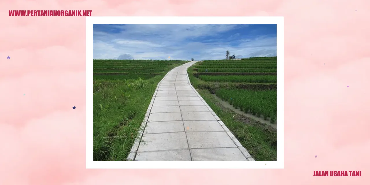 gambar jalan usaha tani