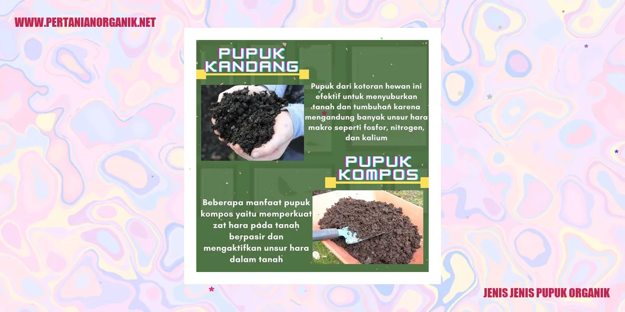 Jenis-Jenis Pupuk Organik
