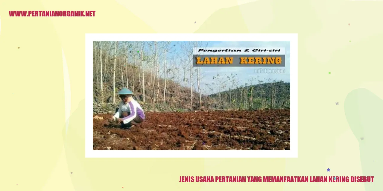 Jenis Usaha Pertanian yang Memanfaatkan Lahan Kering Disebut