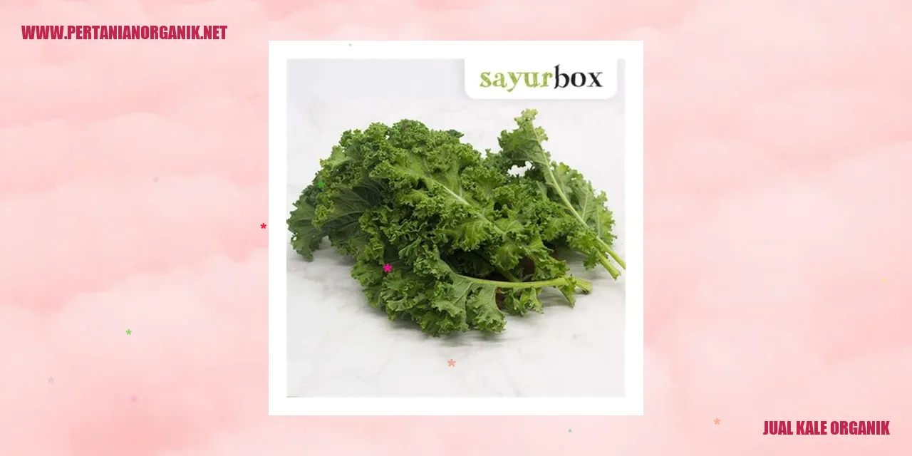jual kale organik