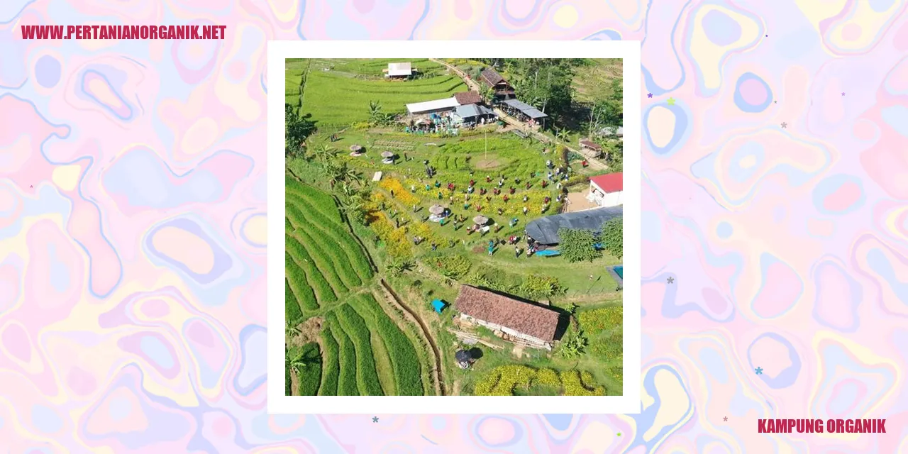Kampung Organik