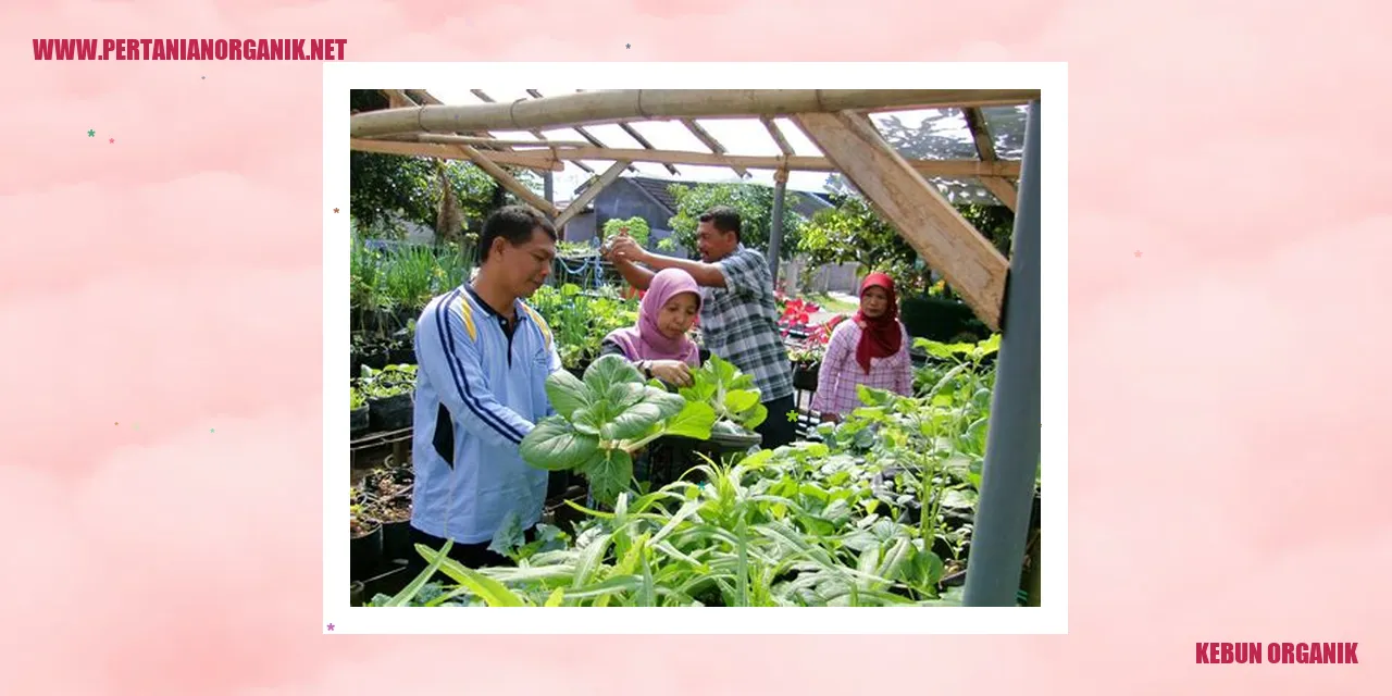 Gambar Kebun Organik