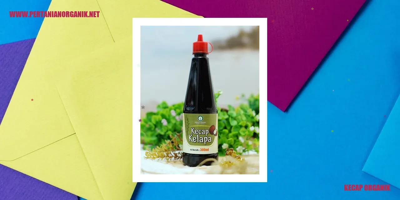 kecap organik