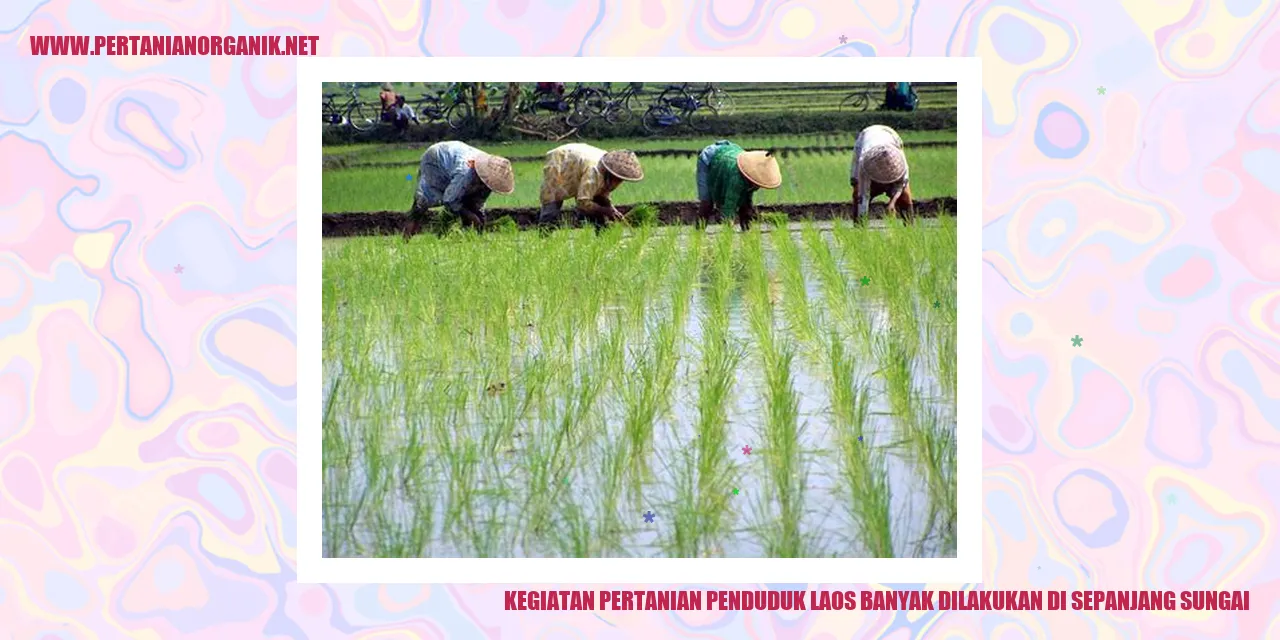 Kegiatan Pertanian Penduduk Laos