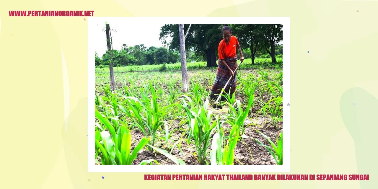 kegiatan pertanian rakyat thailand banyak dilakukan di sepanjang sungai