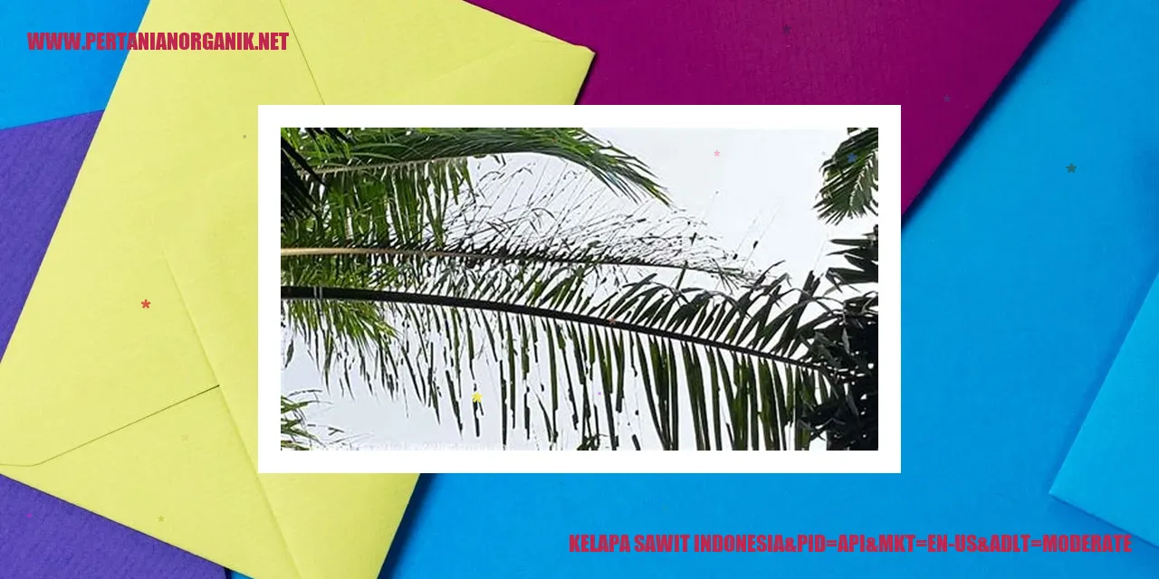 Kelapa Sawit Indonesia