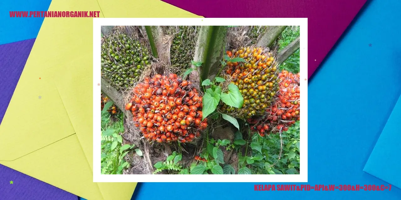 kelapa sawit