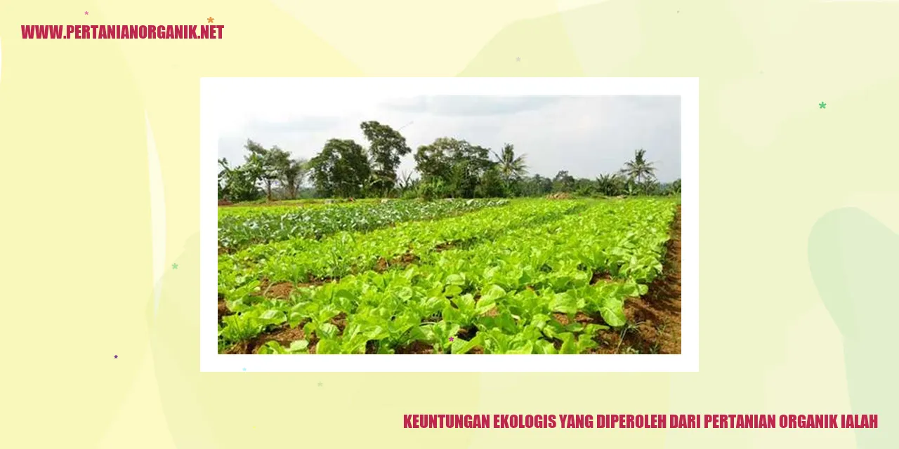 Keuntungan Ekologis yang Diperoleh dari Pertanian Organik