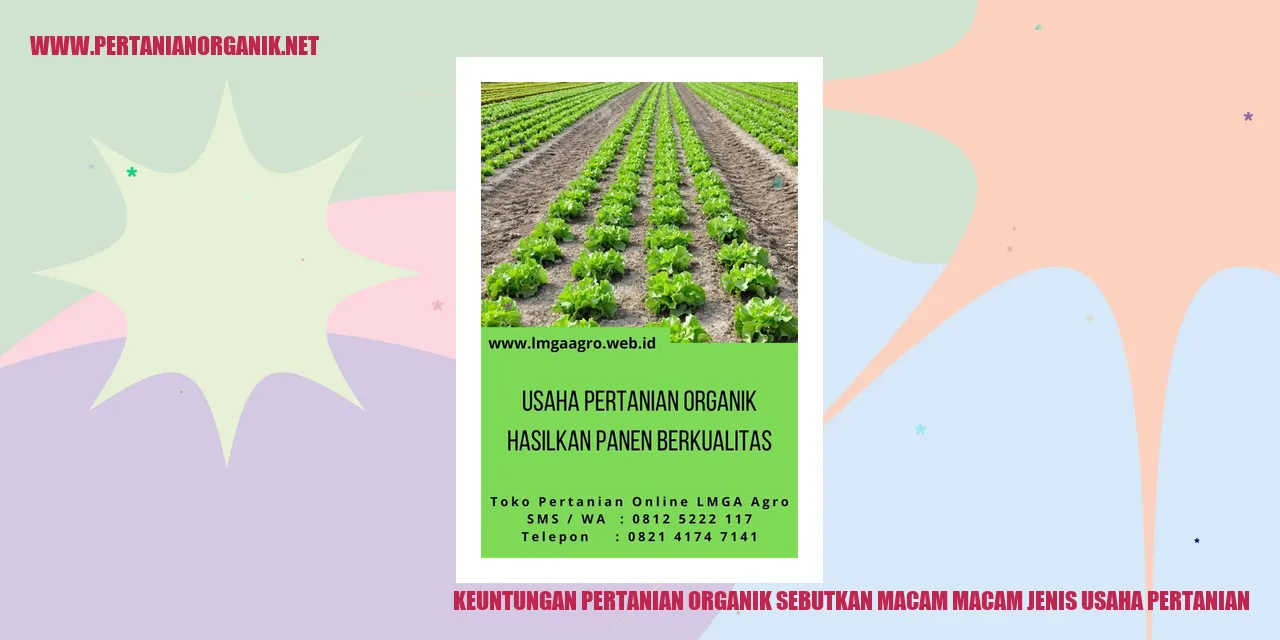 Keuntungan Pertanian Organik sebutkan macam macam jenis usaha pertanian