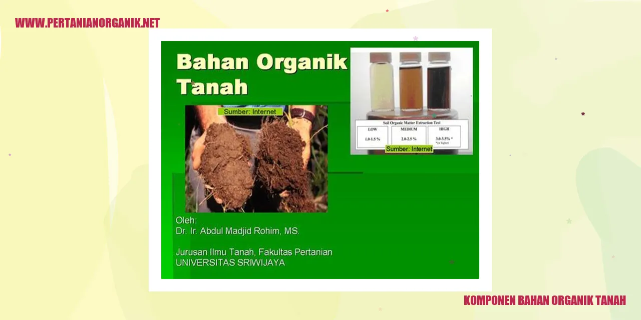 Gambar Komponen Bahan Organik Tanah