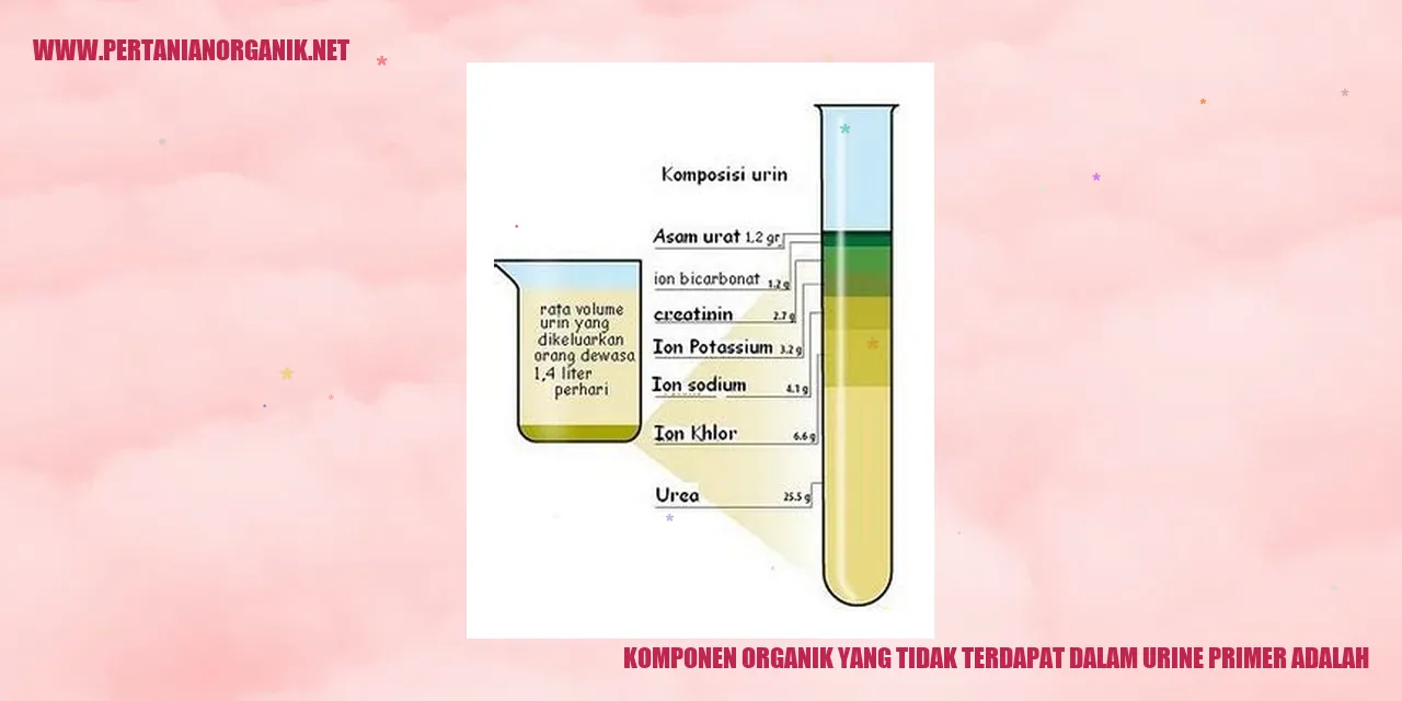 Gizi dalam urine primer