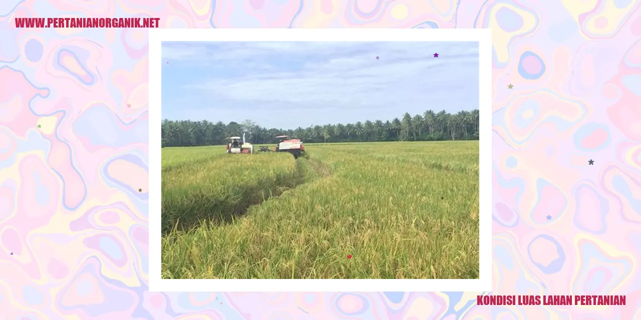 kondisi luas lahan pertanian