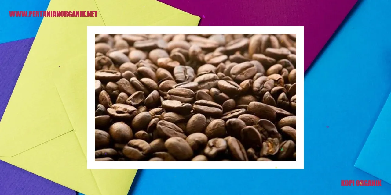 Kopi Organik