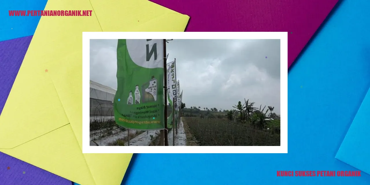 Kunci Sukses Petani Organik