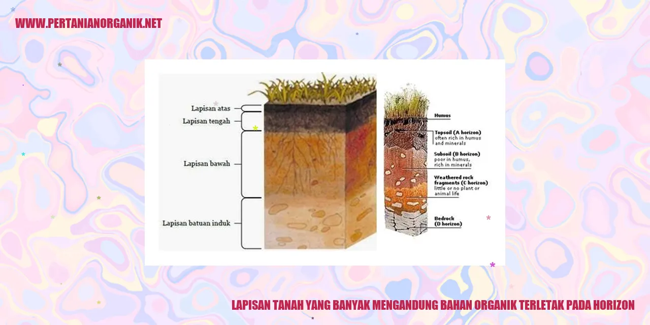 Gambar lapisan tanah yang banyak mengandung bahan organik