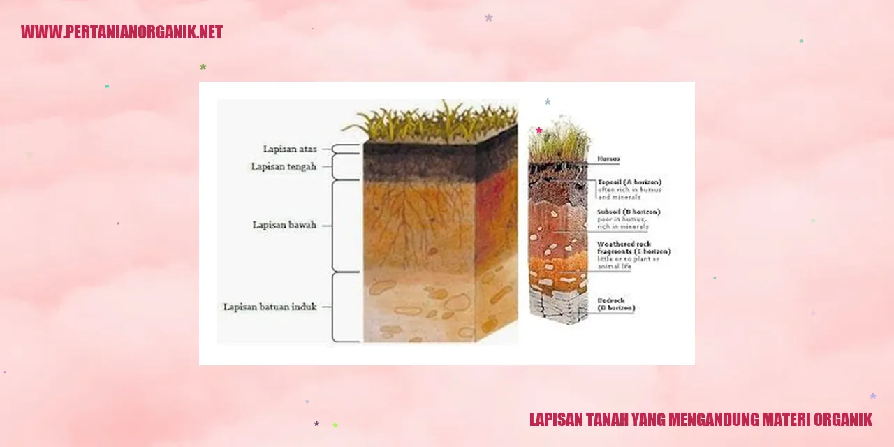 Lapisan Tanah yang Mengandung Materi Organik